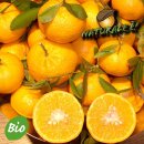 Bio Mandarinen Ciacullii 5 kg