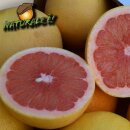 Bio Grapefruits rose 7  kg